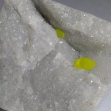 Azufre
39 x 33 mm
(Autor: Sante Celiberti)