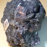Galena
53 x 50 mm
(Autor: Sante Celiberti)