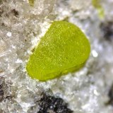 Azufre, Calcita
Cristal: 0,4 x 0,3 cm.
(Autor: carles)