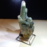 Cuarzo (variedad prasio)
61,5 x 37 mm
(Autor: Sante Celiberti)