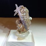 Cuarzo (variedad amatista)
39,5 x 24 mm
(Autor: Sante Celiberti)