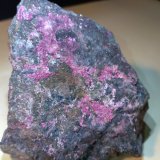 Eritrita (Eritrina)
70 x 62 mm
(Autor: Sante Celiberti)