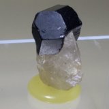 Schorlo
30 x 23 mm
(Autor: Sante Celiberti)
