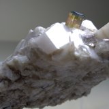 Elbaita, Cuarzo, Ortoclasa
53,4 x 40,2 mm
(Autor: Sante Celiberti)