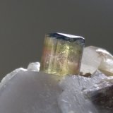 Elbaita, Cuarzo, Ortoclasa
53,4 x 40,2 mm
(Autor: Sante Celiberti)