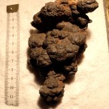 óxidos de manganeso
12cm x 6cm
(Autor: enrico_del_cabo)