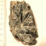 Actinolita
7cm x 5cm
(Autor: enrico_del_cabo)