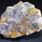 Fluorita, Marcasita, Cuarzo
80 x 65 mm
(Autor: Sante Celiberti)