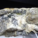 Plata, Acantita
78,5 x 56 mm
(Autor: Sante Celiberti)