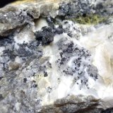 Plata, Acantita
78,5 x 56 mm
(Autor: Sante Celiberti)