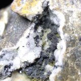 Plata, Acantita
78,5 x 56 mm
(Autor: Sante Celiberti)