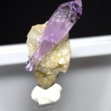 Cuarzo (variedad amatista)
25 x 12 mm
(Autor: Sante Celiberti)
