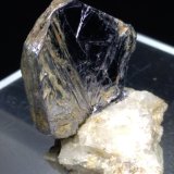 Molibdenita
34 x 32 mm
(Autor: Sante Celiberti)