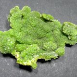 Piromorfita
49 x 30,5 mm
(Autor: Sante Celiberti)