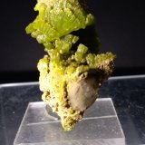 Piromorfita
35,6 x 31,3 mm
(Autor: Sante Celiberti)