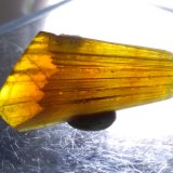Calcita
26,6 x 12,8 mm
(Autor: Sante Celiberti)