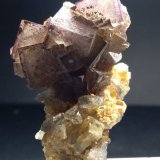 Fluorita
50 x 35 mm
(Autor: Sante Celiberti)