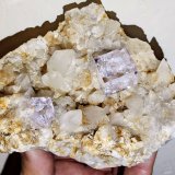 Fluorita, Calcita
8,7 x 8,4 cm
(Autor: carles)