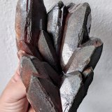 Barita
16,0 x 8,2 cm.
(Autor: carles)