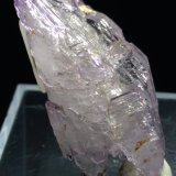 Cuarzo (variedad amatista)
43 x 21 mm
(Autor: Sante Celiberti)