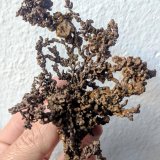 Cobre
7,5 x 10,4 cm.
(Autor: carles)