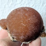 Smithsonita
5,6 x 4,5 cm.
(Autor: carles)