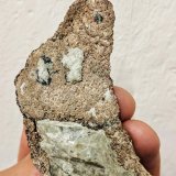 Plata, Acanthita (Acantita)
7,5 x 3,5
(Autor: carles)