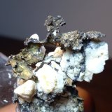 Plata, Acanthita
30 x 25 mm
(Autor: Sante Celiberti)