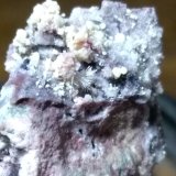 Topacio, Hematites
29 x 23 mm
(Autor: Sante Celiberti)