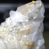 Oro
32 x 23 mm
(Autor: Sante Celiberti)