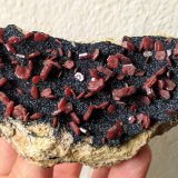 Vanadinita, Mottramita
10,7 x 5,7 x 4,5 cm.
(Autor: carles)
