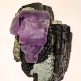 Fluorita, Ferberita
4,4 x 2,8 cm.
(Autor: carles)