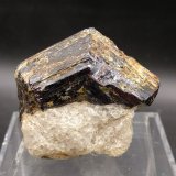 Rutilo
4 cm
(Autor: yowanni)