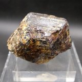 Rutilo
4cm
(Autor: yowanni)