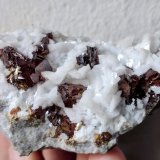 Dolomita, Esfalerita
6,2 x 8,0 cm.
(Autor: carles)