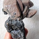 Esfalerita, Calcita
9,5 x 7,5 cm.
(Autor: carles)