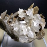 Calcita, Siderita
62 x 48 mm
(Autor: Sante Celiberti)