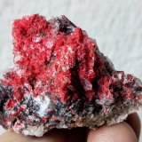 Cinabrio, Yeso
4,5 x 3,0 cm.
(Autor: carles)