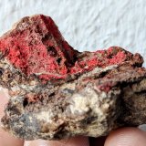 Cinabrio
4,9 x 3,0 cm.
(Autor: carles)