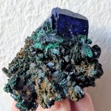 Azurita, Malaquita
5,9 x 5,0 cm.
(Autor: carles)
