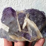 Fluorita, Barita
9,7 x 6,6 cm.
(Autor: carles)