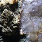 Fluorita, Marcasita, Calcita
190 x 110 mm
(Autor: Sante Celiberti)