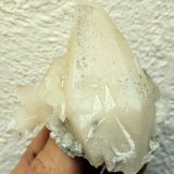 Calcita
6,5 x 6,0 cm.
(Autor: carles)