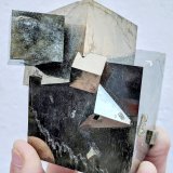 Pirita
6,7 x 5,2 cm.
(Autor: carles)