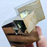 Pirita
7,0 x 5,7 cm.
(Autor: carles)