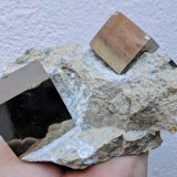 Pirita
12,2 x 10,0 cm.
(Autor: carles)