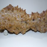 Calcita
300 x 140 mm
(Autor: Sante Celiberti)