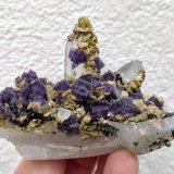 Cuarzo, Fluorita, Siderita, Moscovita
7,7 x 5,5 cm.
(Autor: carles)
