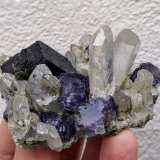 Cuarzo, Ferberita, Fluorita, Topacio, Arsenopirita
6,5 x 5,2 cm.
(Autor: carles)