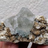 Fluorita, Moscovita
6,8 x 3,6 cm.
(Autor: carles)